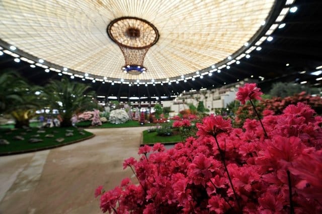 Speciale Euroflora 2011: tutte le info, le foto e i video 19