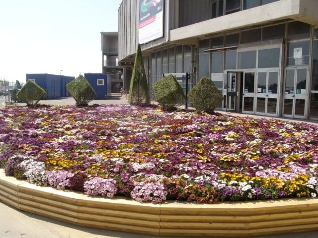 Speciale Euroflora 2011: tutte le info, le foto e i video 2