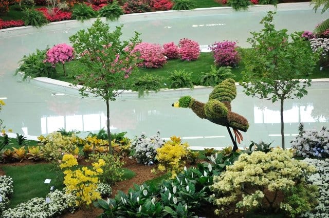 Speciale Euroflora 2011: tutte le info, le foto e i video 20