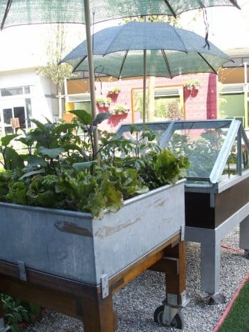Speciale Euroflora 2011: tutte le info, le foto e i video 5