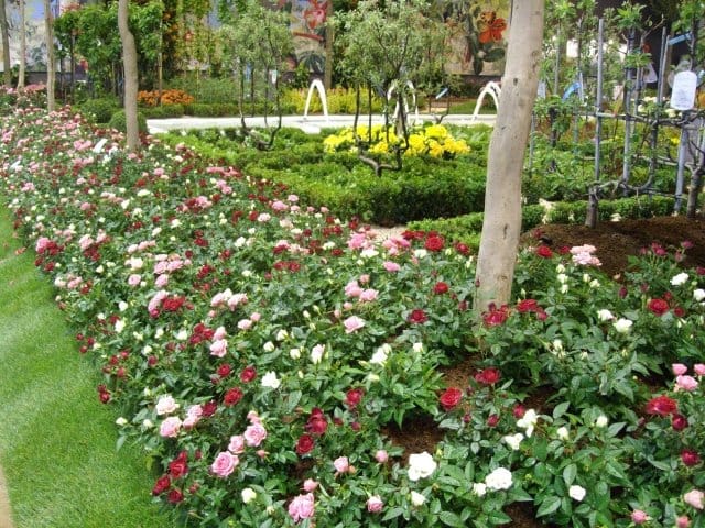 Speciale Euroflora 2011: tutte le info, le foto e i video 7