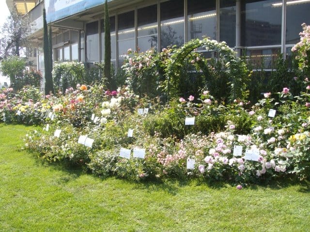 Speciale Euroflora 2011: tutte le info, le foto e i video 8