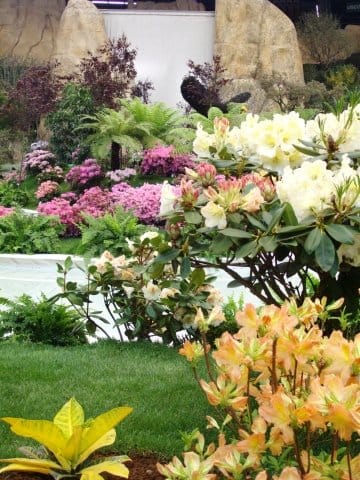 Speciale Euroflora 2011: tutte le info, le foto e i video 9