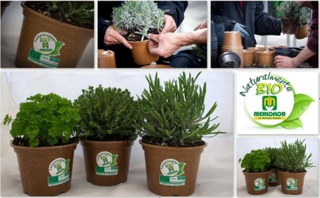 Euroflora: un successo annunciato per le aromatiche Naturalmente Bio 3