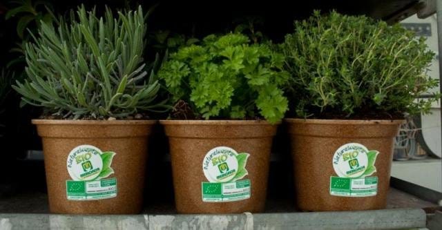 Euroflora: un successo annunciato per le aromatiche Naturalmente Bio 4