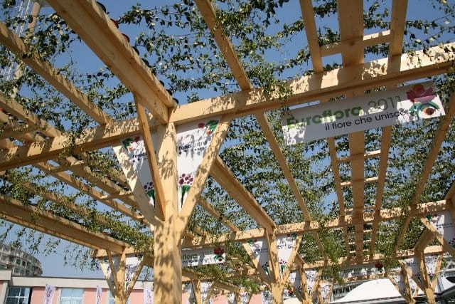 Euroflora: 20.000 gazanie danno il benvenuto 3