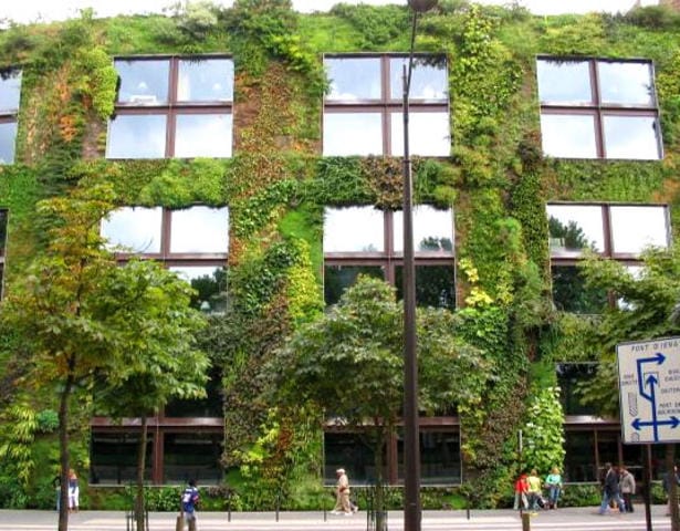Il giardino diventa verticale 2