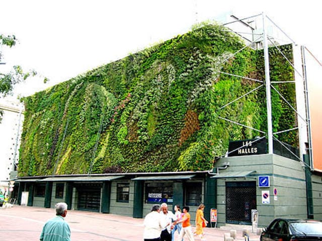 Il giardino diventa verticale 3