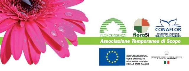 18 novembre: l'elite del verde italiano si incontra da Flormercati 2