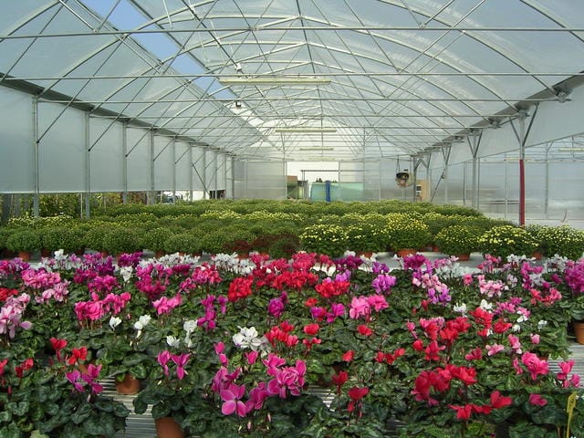 Un partner per il garden 2