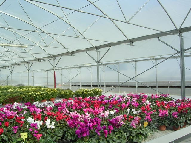 Un partner per il garden 4