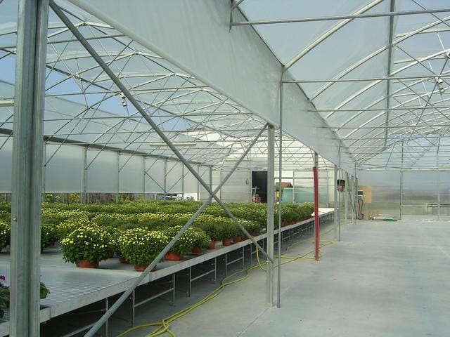 Un partner per il garden 5