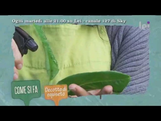 La nostra redazione protagonista di “Giardinieri in affitto” 4