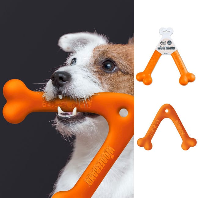 Il boomerang per il cane 2