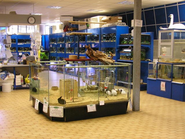 Il “fenomeno acquario” 2
