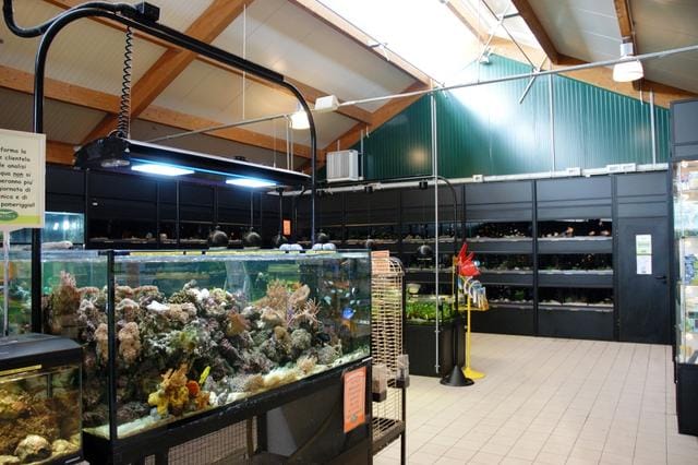 Il “fenomeno acquario” 6