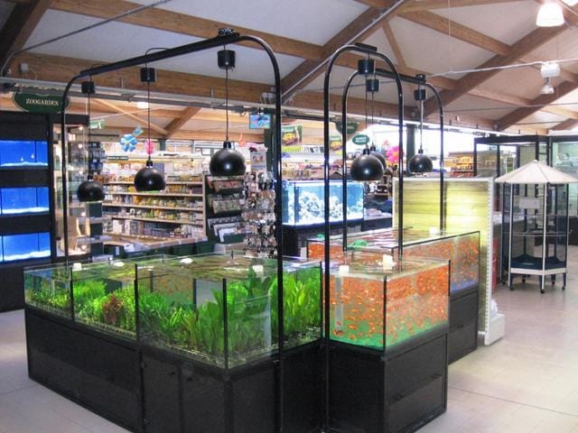 Il “fenomeno acquario” 7