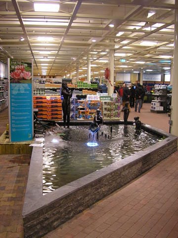 Laghetti: l’acqua entra in giardino 3