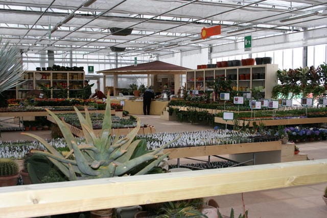 I Garden center nella rete virtuale 4