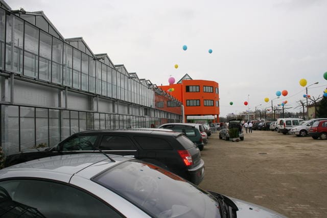 I Garden center nella rete virtuale 6