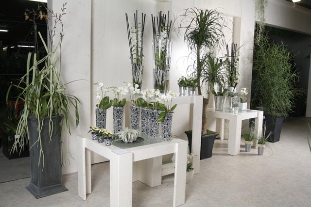 Come arredare l’area decor 2