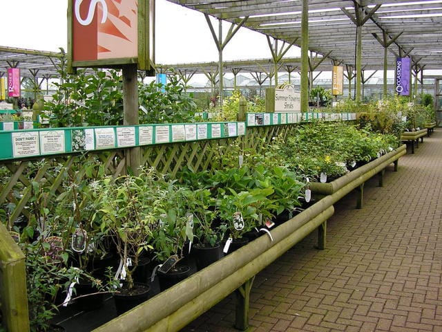 Le “stanze” del giardino 3