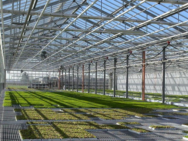 Garden center: comfort climatico per piante e persone 4