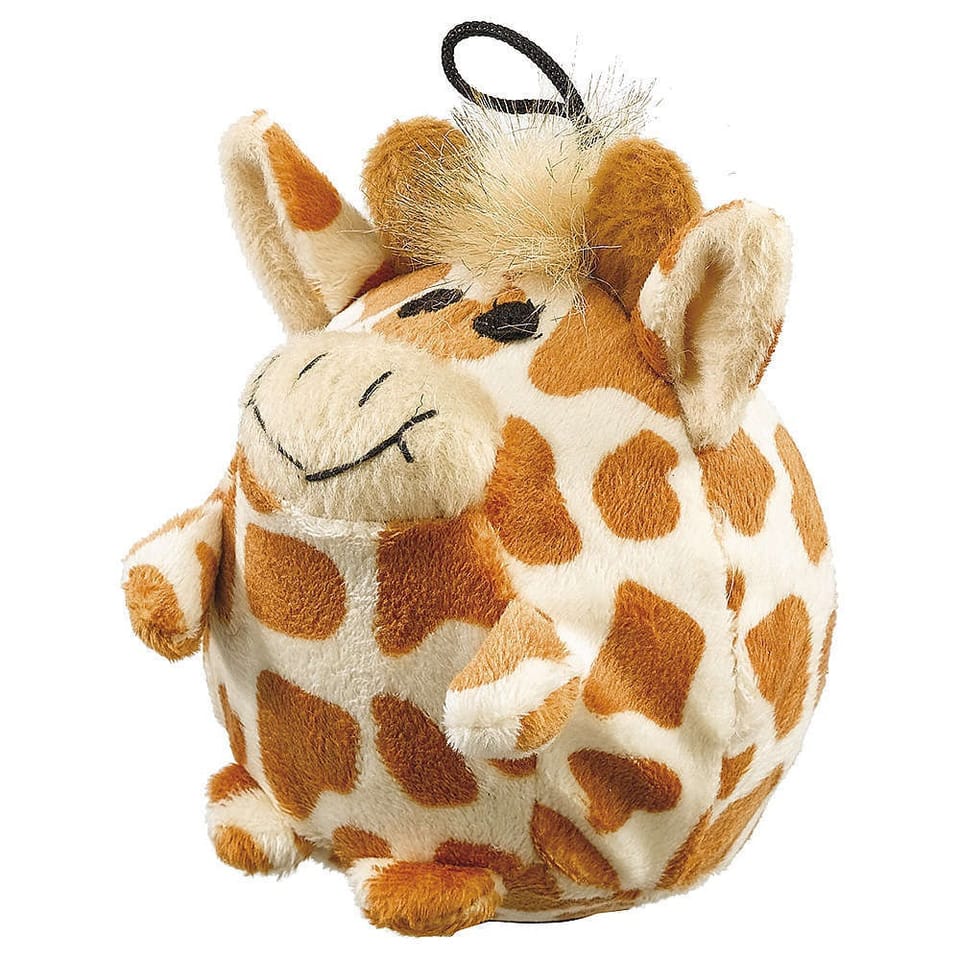 Animalier, accessori per il pet 6