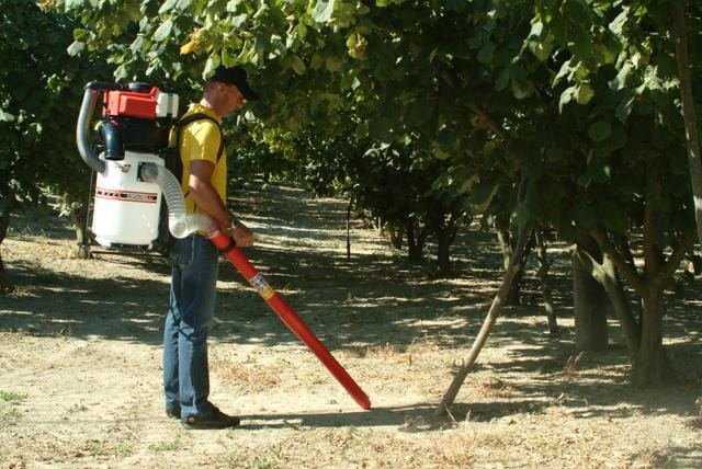 Cifarelli: 40 anni d’innovazione 2