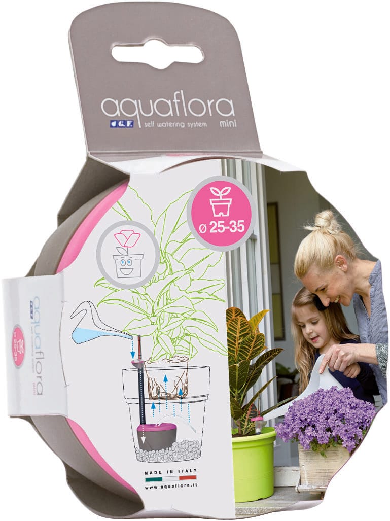 Gf presenta Aquaflora 2