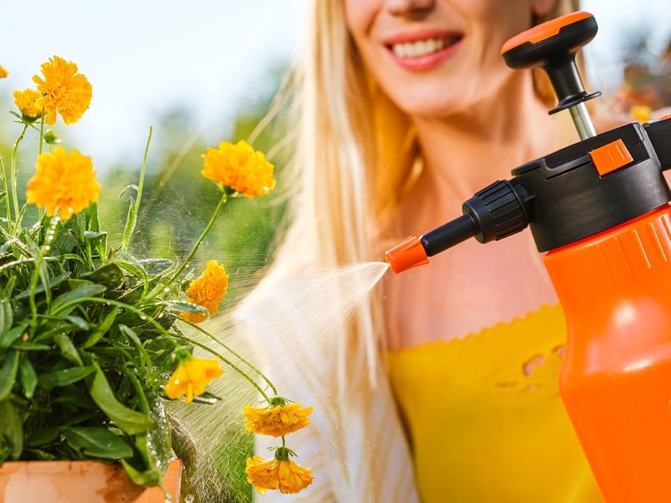 Sprayer da 1,5L e 2L 3