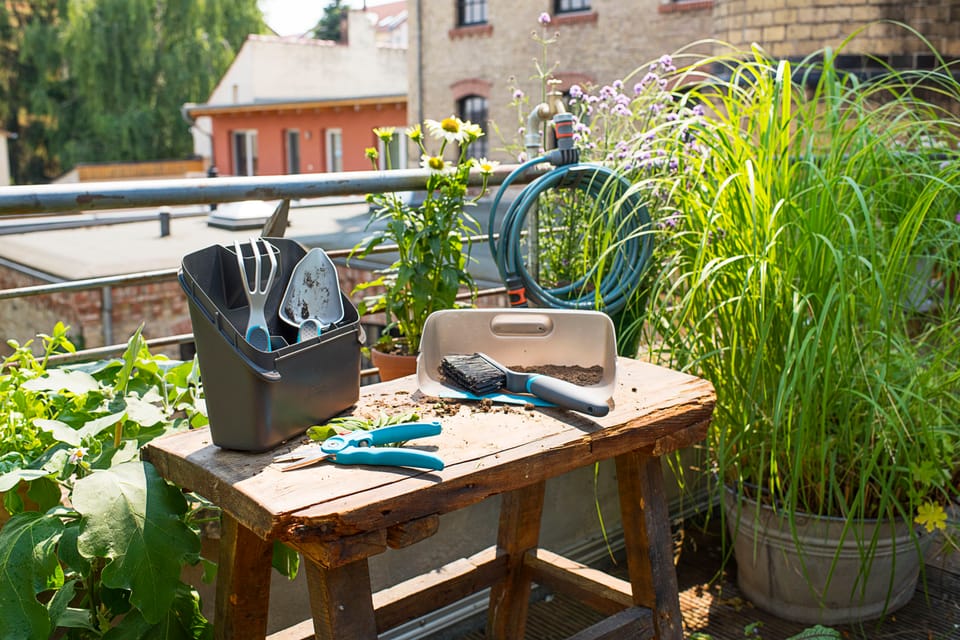 Set di attrezzi manuali per giardinieri urbani 4