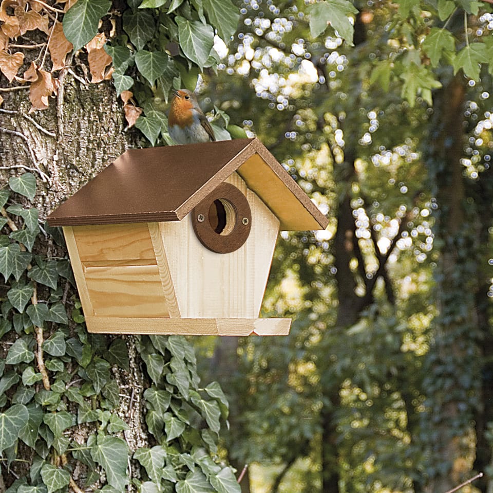 La casetta sull’albero 2