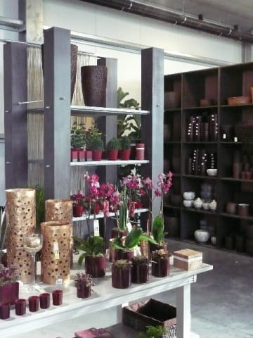 Panico nel garden center 3
