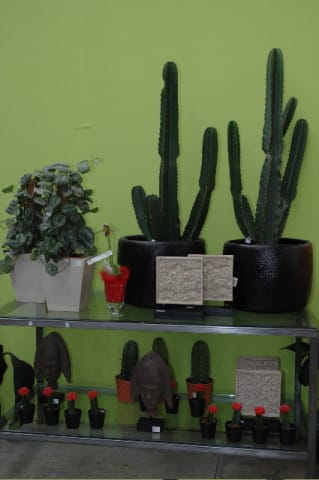 Panico nel garden center 6