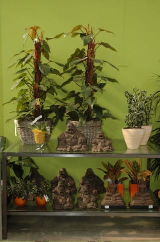 Panico nel garden center 7