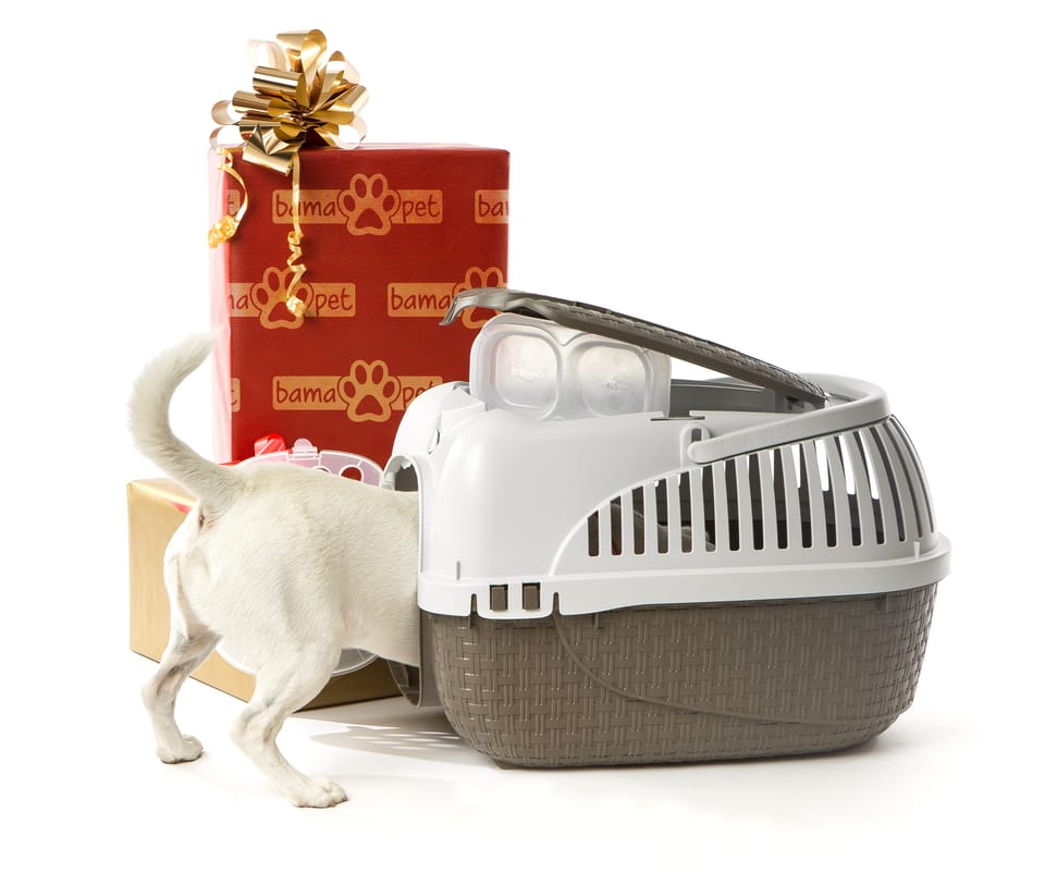 Linea pet: utili e belli 3