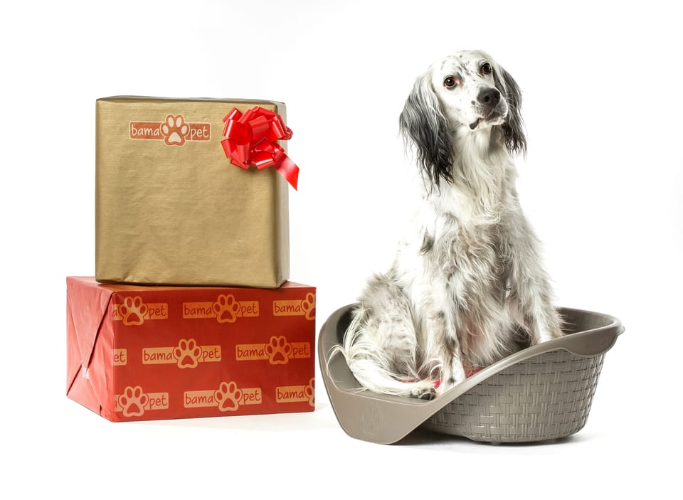 Linea pet: utili e belli 4