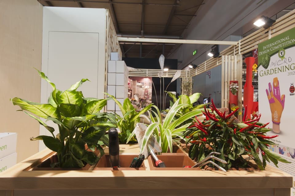B4B: le idee nascono in giardino 2