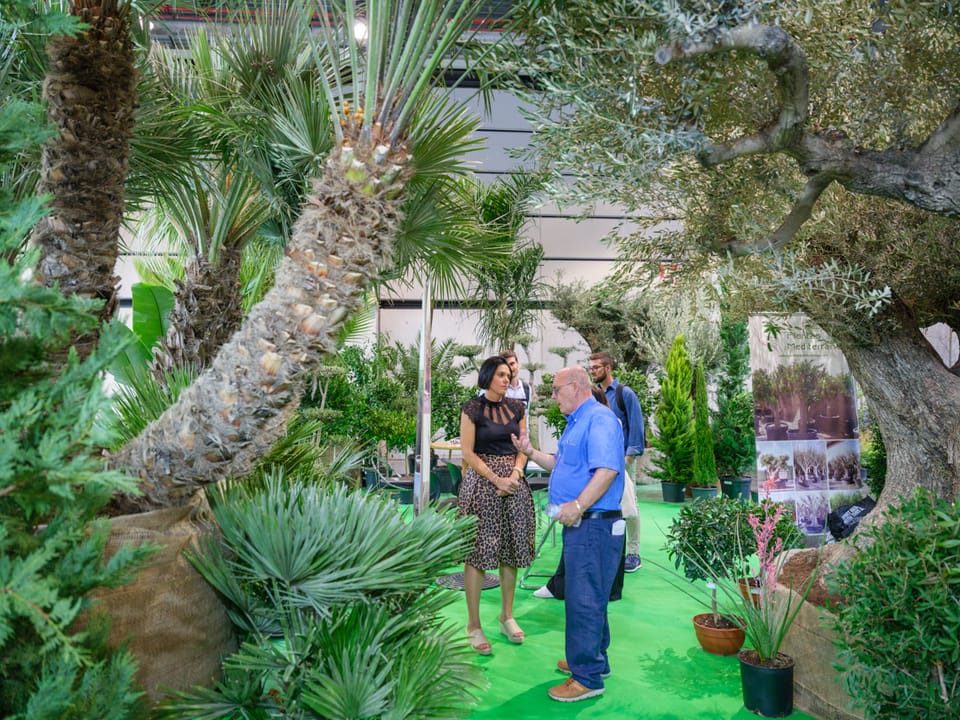 Iberflora Connection 2025: il verde torna in scena a Valencia 2