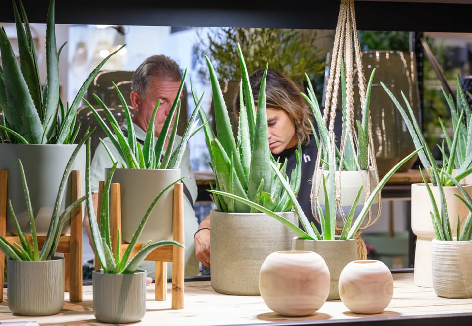 Iberflora Connection 2025: il verde torna in scena a Valencia 3