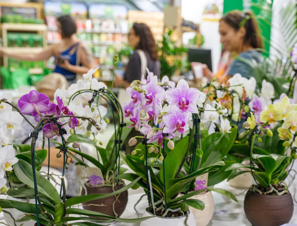 Iberflora Connection 2025: il verde torna in scena a Valencia 4