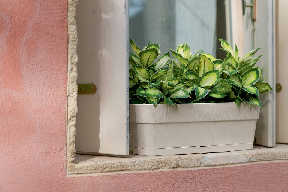 ETHICA: il giardino non è mai stato così green  2