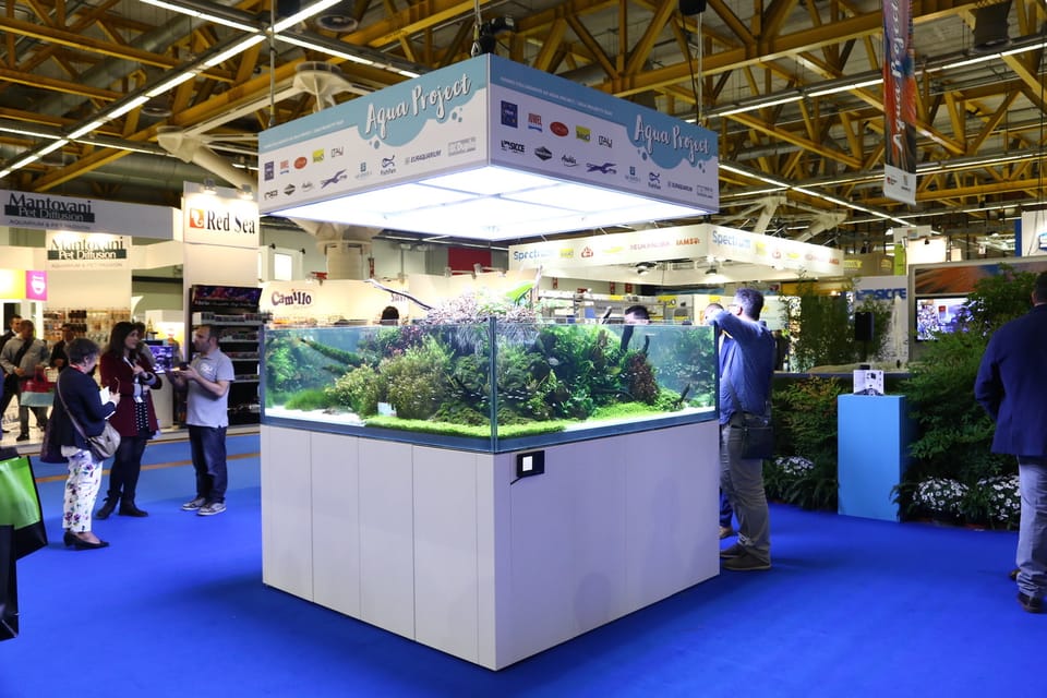Zoomark 2019 verso il tutto esaurito 3