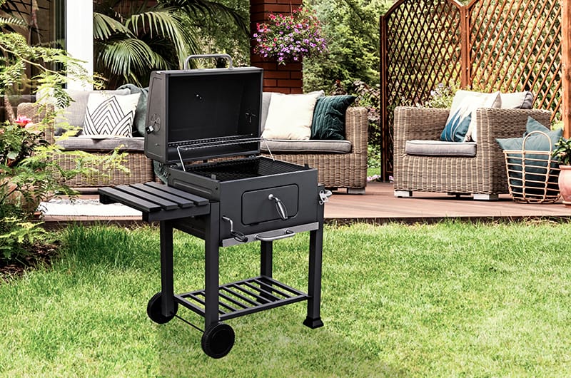 Barbecue Arizona Evergreen 2