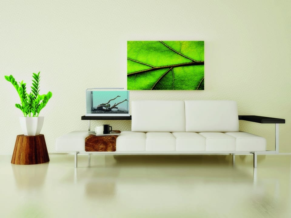 L'acquario d'arredo di Askoll 5