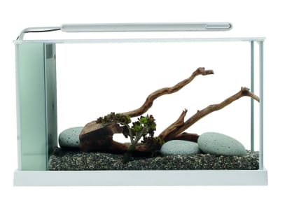 L'acquario d'arredo di Askoll 2