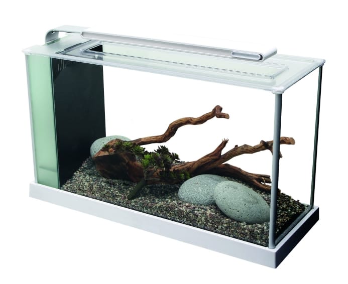 L'acquario d'arredo di Askoll 4