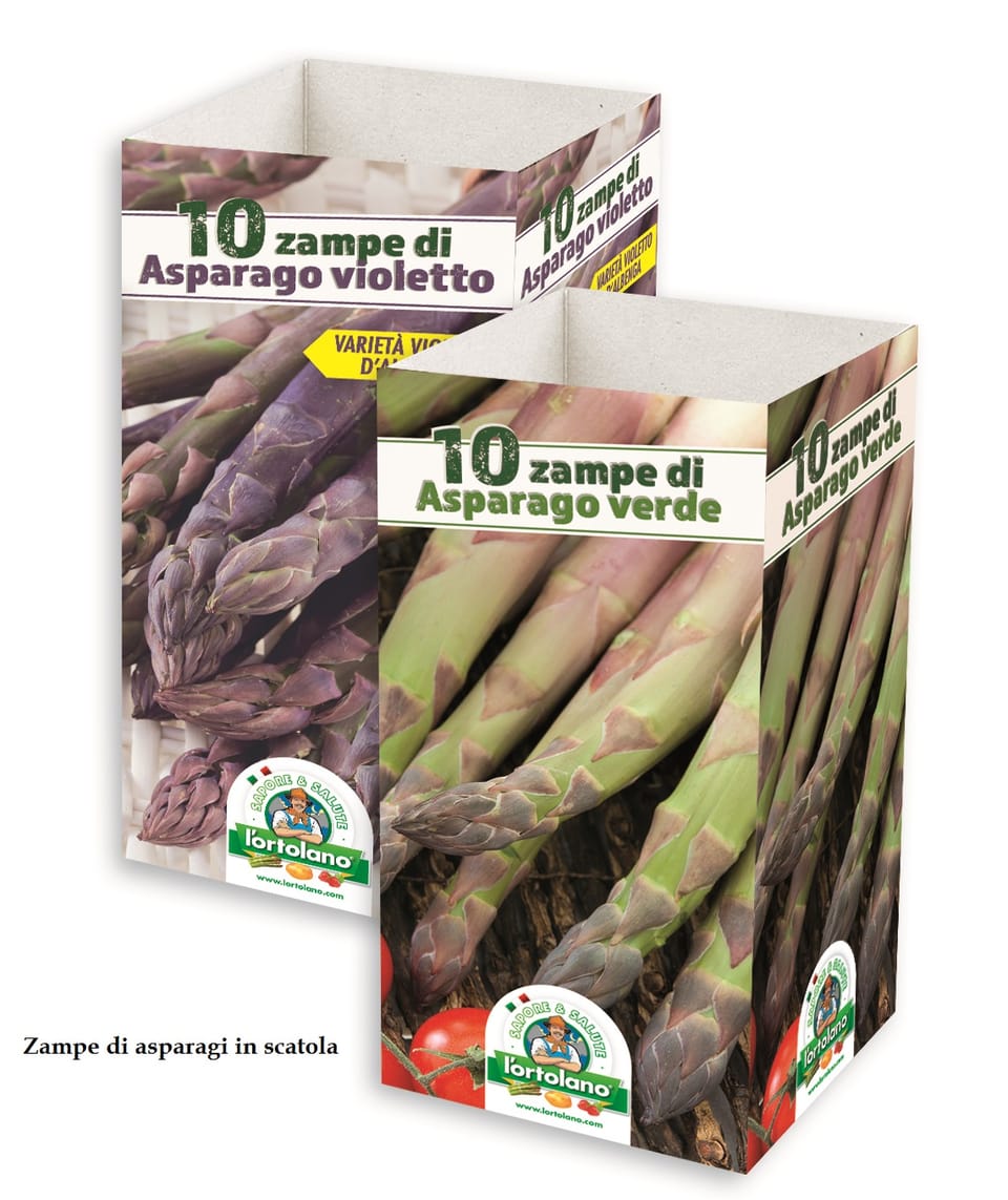 "Sapore & Salute": per il benessere dell'orto! 3
