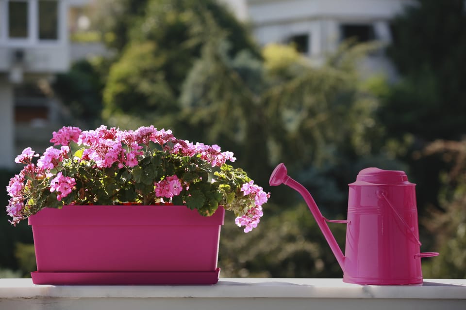 Classic Windowbox 2